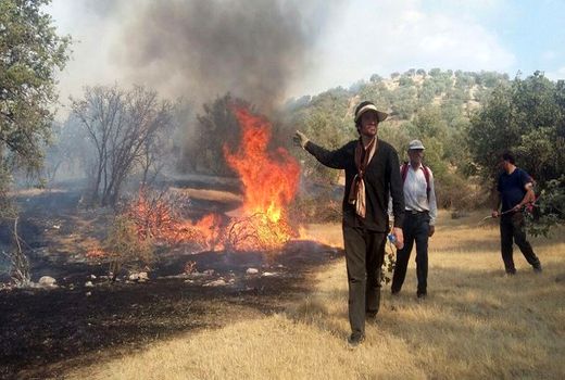 فرهنگ‌سازی،آتش‌سوزی درختان بلوط را کم کرد