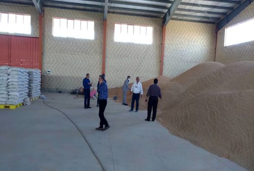 فعالیت دومین مرکز فرآوری بذرهای کشاورزی سطح کشور در شهرستان رباط کریم