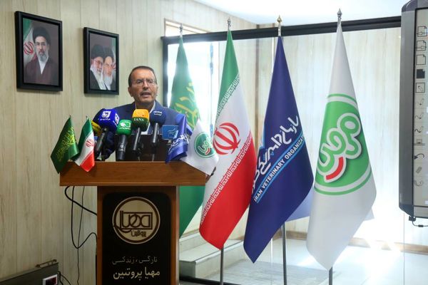 بیش از ۹۵ درصد گوشت قرمز کشور در داخل تامین می‌شود/ کاهش ۴۰ درصدی واردات گوشت در سال ۱۴۰۴