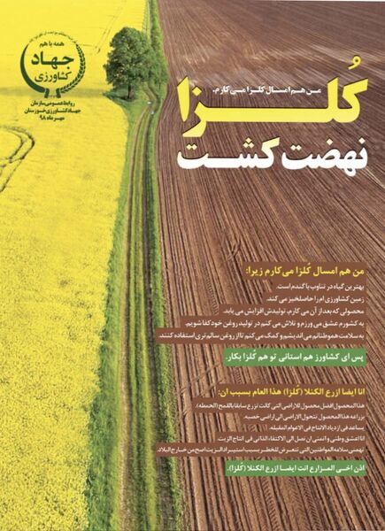  80 هزار هکتار از مزارع استان خوزستان به کشت کلزا اختصاص می‌یابد