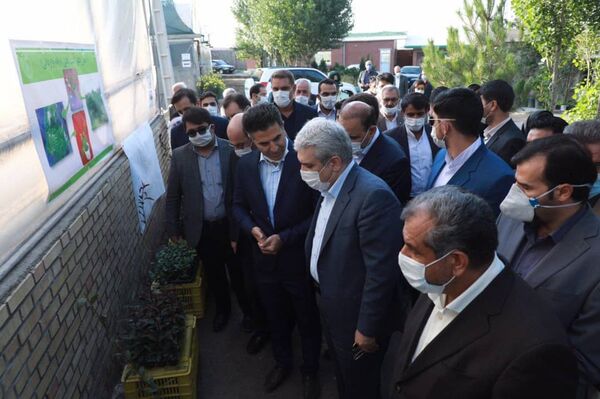 معاون رییس جمهور از یک شرکت دانش بنیان فعال تولید بذر و نهال در شهرستان آبیک بازدید کرد