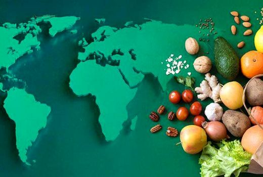 غذا «حق» است نه «امتیاز»  