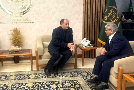 جهادکشاورزی در شرایط جنگ‌ بازار را مدیریت کرد/ لزوم توسعه دیپلماسی کشاورزی در منطقه