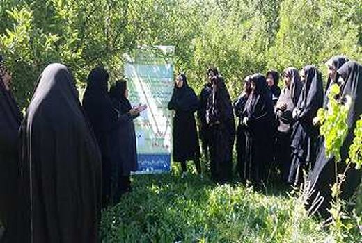 صدور ۳ گواهی نشان حد مجاز آلاینده های محصولات کشاورزی 