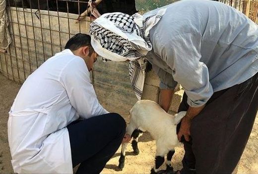 تربیت بهداشت‌یار دام عشایر با بهره‌گیری از ظرفیت جوامع محلی