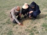 بازدید از مراتع خراسان شمالی برای ردیابی آفت ملخ