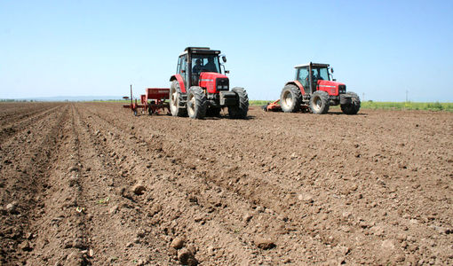۷۶ درصد کشت محصولات زراعی طرح پایداری تولید در دیمزارهای استان قزوین محقق شد