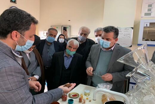 ضرورت ایجاد زنجیره دانشگاهی برای تولید داخلی مکمل‌های غذایی دام و طیور