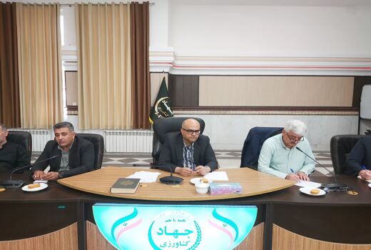 بسیج همه ظرفیت‌ها برای خرید مطلوب گندم در قزوین/ نظارت میدانی مدیران و کنترل کیفیت محصول تشدید می‌شود