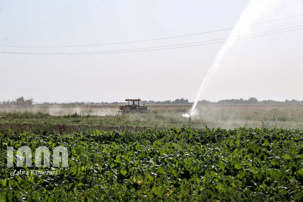 اشتغال‌زایی 2 هزار نفری در استان مرکزی