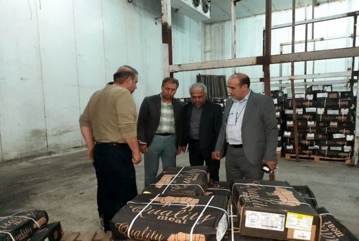 توزیع هفت هزار و 550 تن گوشت قرمز در کشور از طریق استان آذربایجان شرقی 