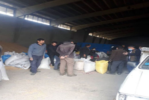 توزیع 436 تن انواع نهاده‌های دامی در سه ماهه اول سال 1400 در شهرستان خداآفرین