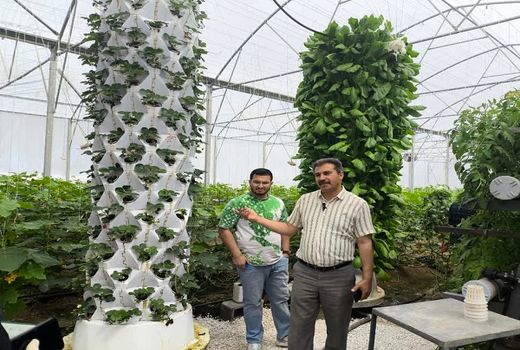 راه اندازی سیستم کشت عمودی هواکِشت گلخانه‌دار بیضایی