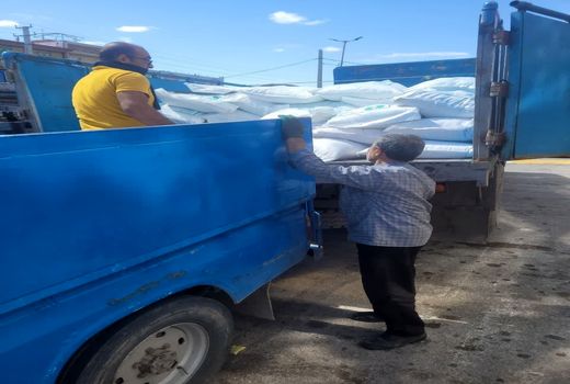 توزیع ۱۰ تن شکر تنظیم بازاری در شهرستان آوج