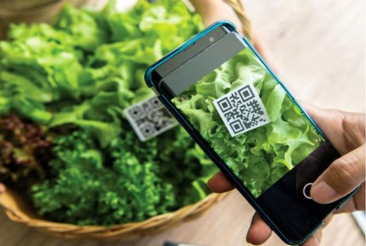 محصولات بدون کد شناسه سماک، اجازه صادرات نخواهند داشت