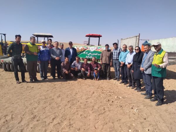 ایجاد ۴ سایت الگویی ترویجی گندم دیم در شهرستان آوج