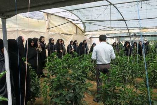 روش‌های نوین ترویج کشاورزی  در زنجان 