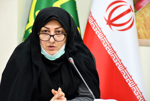 بررسی چالش‌های صندوق توسعه فعالیت‌های زنان شهرستان شبستر