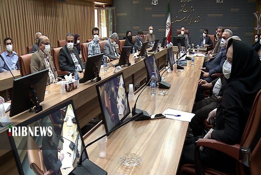 بررسی نوسانات قیمت مرغ