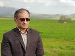 آغاز عملیات برداشت دانه روغنی کلزا در شهرستان قصرشیرین