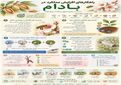راهکارهای افزایش عملکرد محصول بادام 
