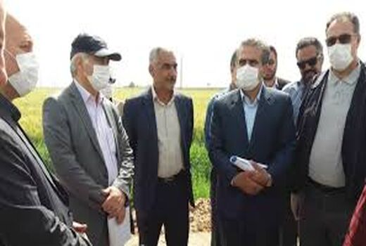 پیش‌بینی خرید بیش از ۱۰.۵ میلیون تن از گندم مازاد بر نیاز کشاورزان در مراکز دولتی
