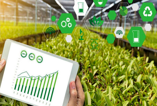 ورود فناوری‌های نوین گیاهان دارویی به سامانه مرکز توسعه مکانیزاسیون کشاورزی