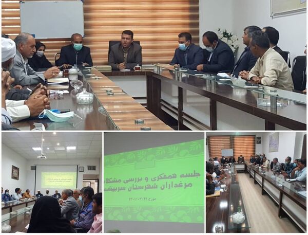 بررسی مسائل مرتبط با مرغداران سربیشه در دیدار با مدیر جهاد کشاورزی شهرستان