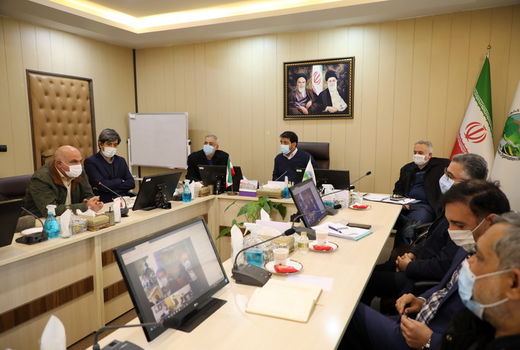 جنگل برای قاچاقچیان چوب نا امن می‌شود