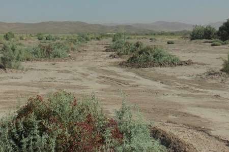 ۴۵۰ هزار هکتار از اراضی غبارخیز آذربایجان‌غربی از حالت بحران خارج شدند