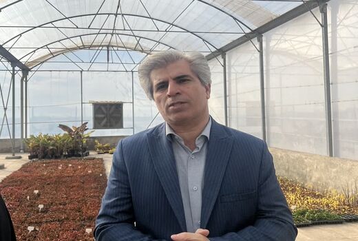 توسعه نهال‌های گواهی‌شده؛ شاه‌کلید افزایش درآمد و ارزآوری برای باغداران