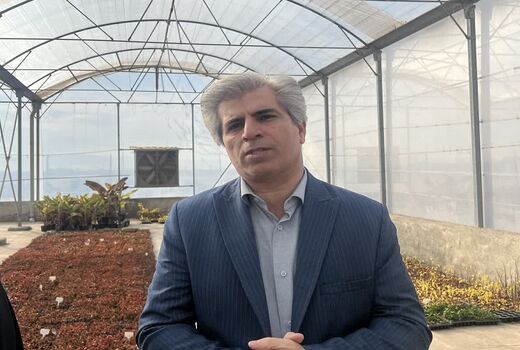 توسعه نهال‌های گواهی‌شده؛ شاه‌کلید افزایش درآمد و ارزآوری برای باغداران
