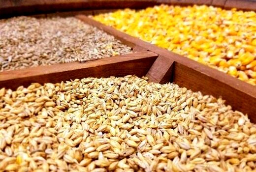 ضرورت عزم همگانی برای توزیع مناسب نهاده های دامی