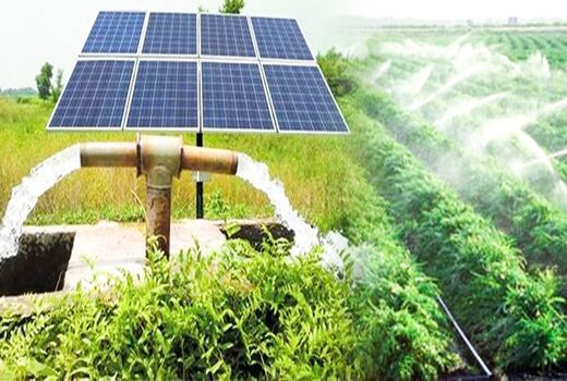 رئیس اتاق اصناف کشاورزی بر لزوم حمایت از تولیدکنندگان انرژی پاک تأکید کرد