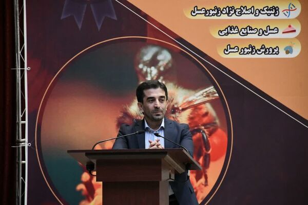 تولید سالانه 15 هزار تن عسل در آذربایجان شرقی