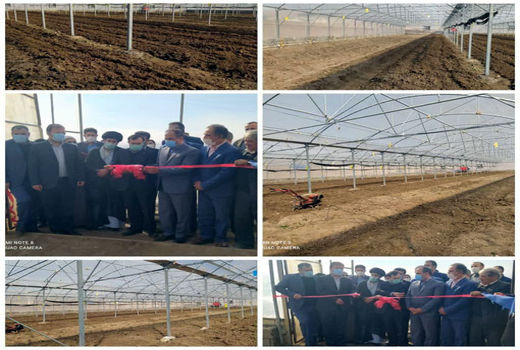 افتتاح دو واحد گلخانه‌ای در شهرستان ورزقان با 35 میلیارد ریال سرمایه گذاری