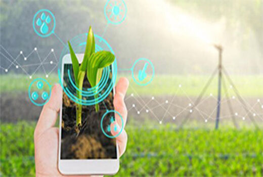 کاربرد اپلیکیشن های تلفن همراه در کشاورزی 