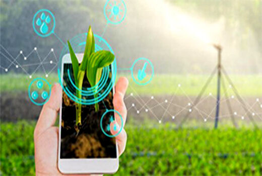 کاربرد اپلیکیشن های تلفن همراه در کشاورزی 