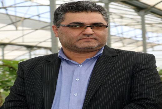 پرداخت 4300 میلیارد تومان وجه گندم به کشاورزان کردستانی