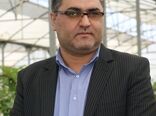 پرداخت 4300 میلیارد تومان وجه گندم به کشاورزان کردستانی