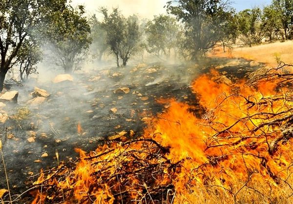 مهار آتشسوزی در ۱۲ هکتار باغات و مراتع چهارمحال و بختیاری