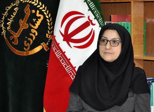 برگزاری مراسم پیشگامان عرصه تولید کشاورزی در سطح ملی