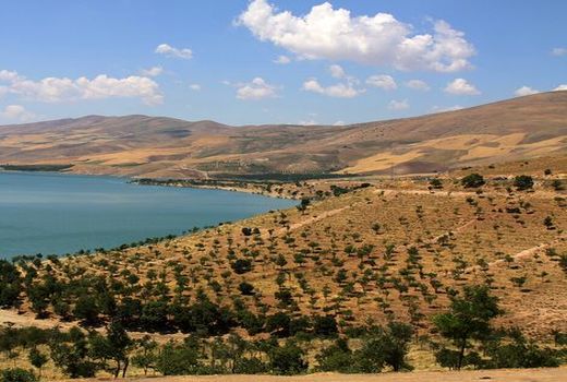 دریچه سد چری فاروج به روی کشتزارهای منطقه گشوده می‌شود