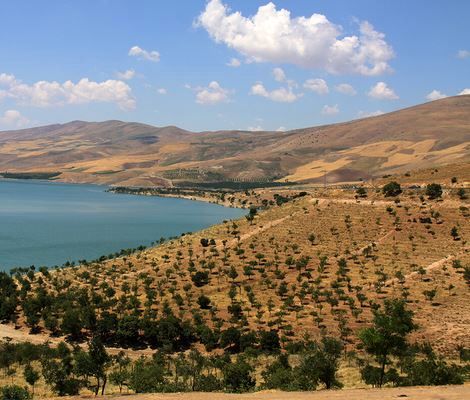 دریچه سد چری فاروج به روی کشتزارهای منطقه گشوده میشود