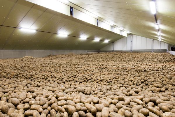 سردخانه 15 هزار تنی در شهرستان رزن افتتاح شد