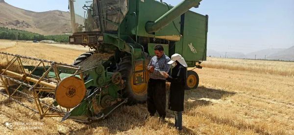 فعالیت ۱۲ دستگاه کمباین برای برداشت غلات در شهرستان فارسان