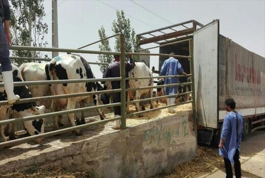 فهرستی از محصولات دامی تا اقلامی که تولید نمی‌شوند