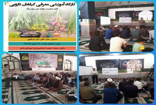 برگزاری کارگاه آموزشی آشنایی با گیاهان دارویی در شهرستان دشتی