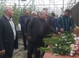 بازدید رئیس سازمان جهاد کشاورزی آذربایجان غربی از گلخانه هیدروپونیک