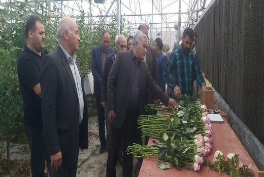 بازدید رئیس سازمان جهاد کشاورزی آذربایجان غربی از گلخانه هیدروپونیک